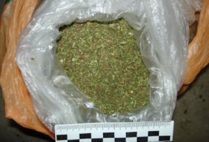 Рязанские полицейские изъяли у 18-летнего парня 4 кг марихуаны‍