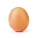 Обогнавшее Кайли Дженнер яйцо по количеству лайков в Instagram треснуло