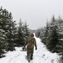 Москвичи сдали на утилизацию более 20,1 тыс. хвойных деревьев