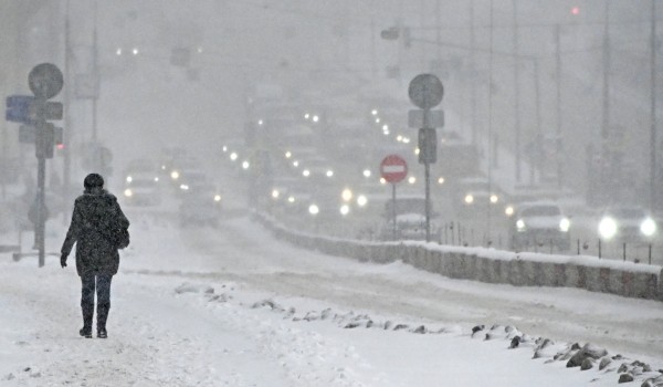 Высота сугробов в Москве после снегопада превысила норму на 7 см