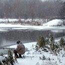 Краснокнижный чирок-свистунок остался на зимовку в парке «Царицыно»