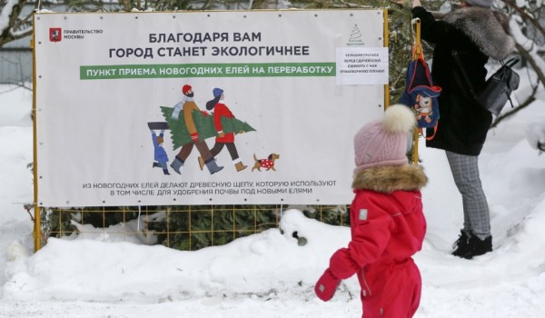 Итоги экофлешмоба: москвичей вдохновили «ЭкоНапутствия» от Мосприроды